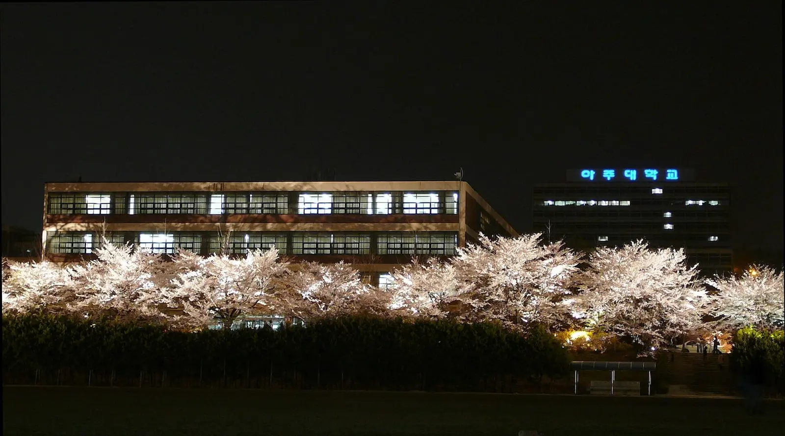 Ajou University