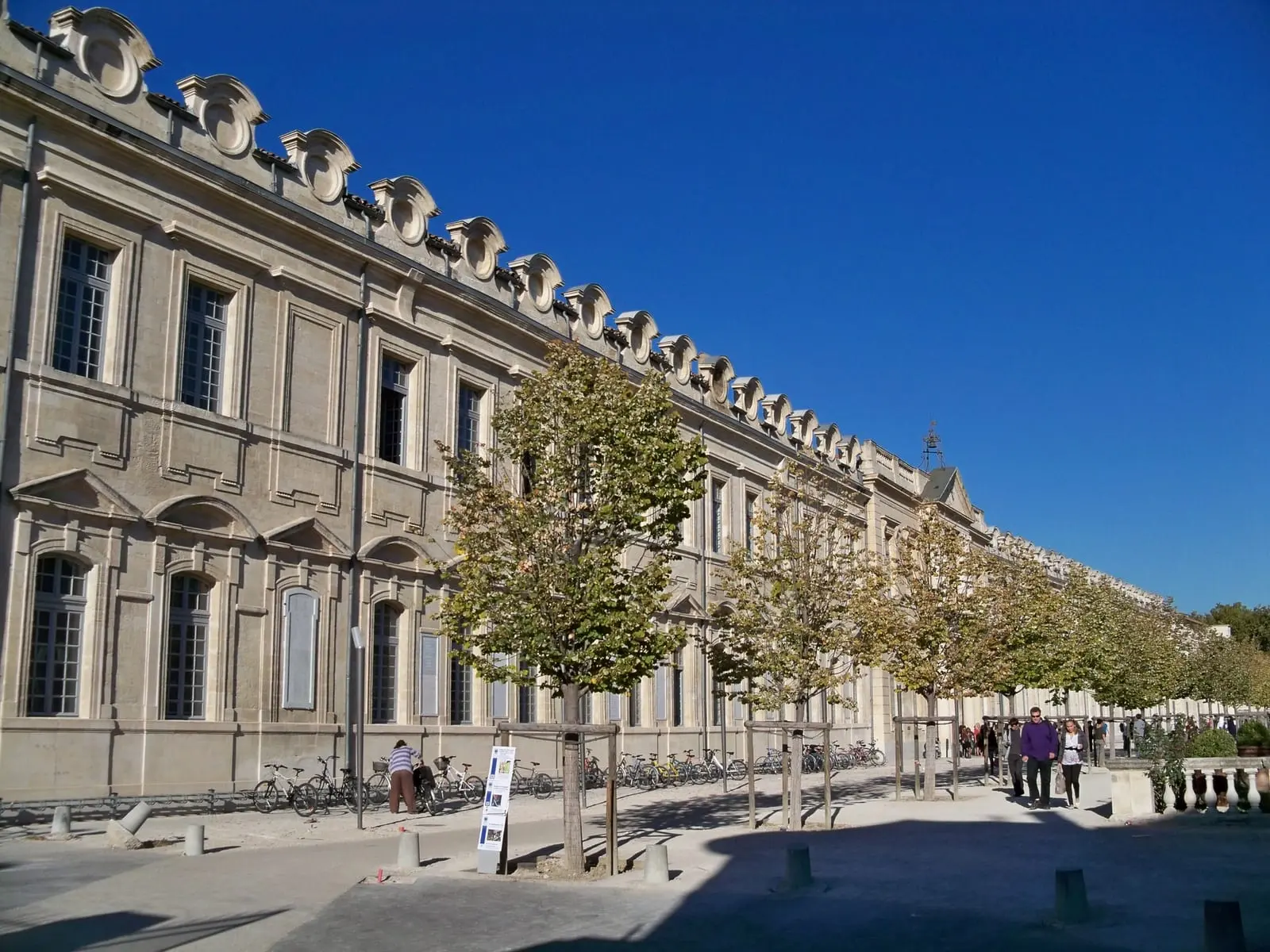 Avignon University