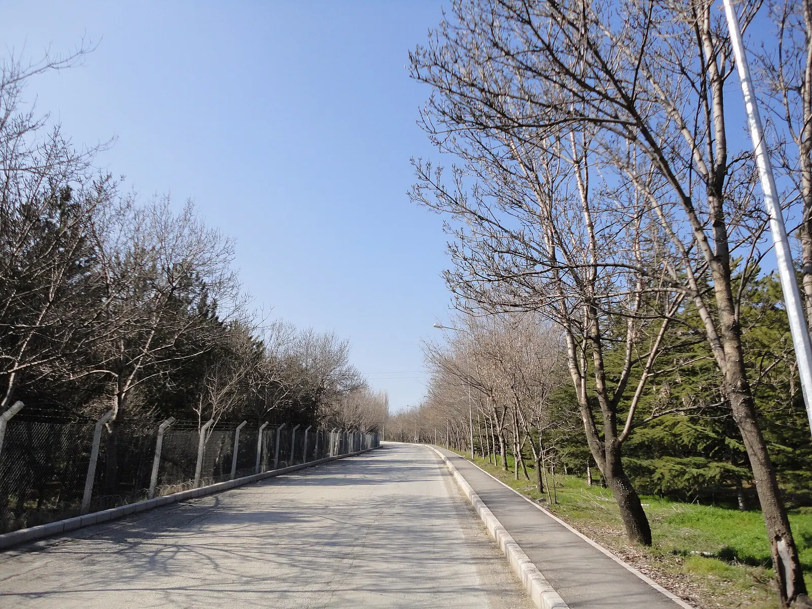 Bilkent University