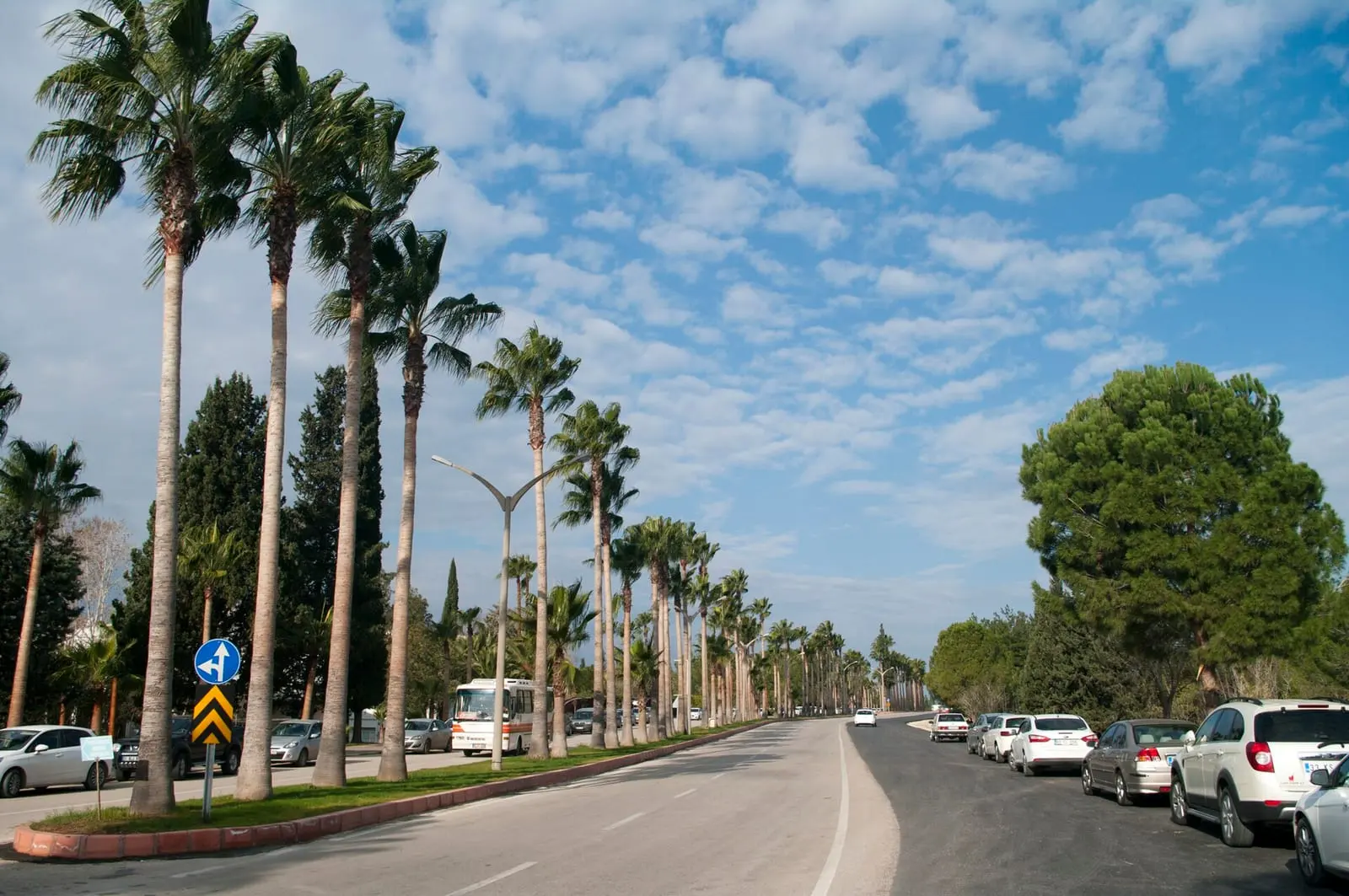 Çukurova University