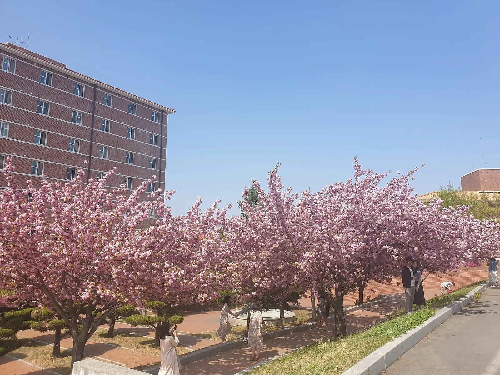 Daegu University