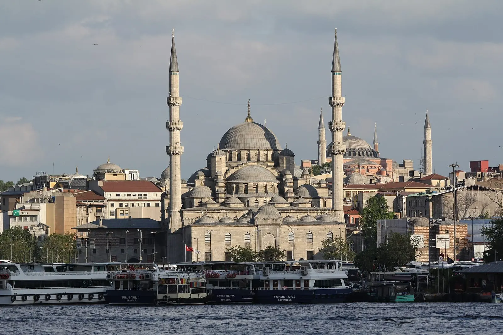Doğuş University