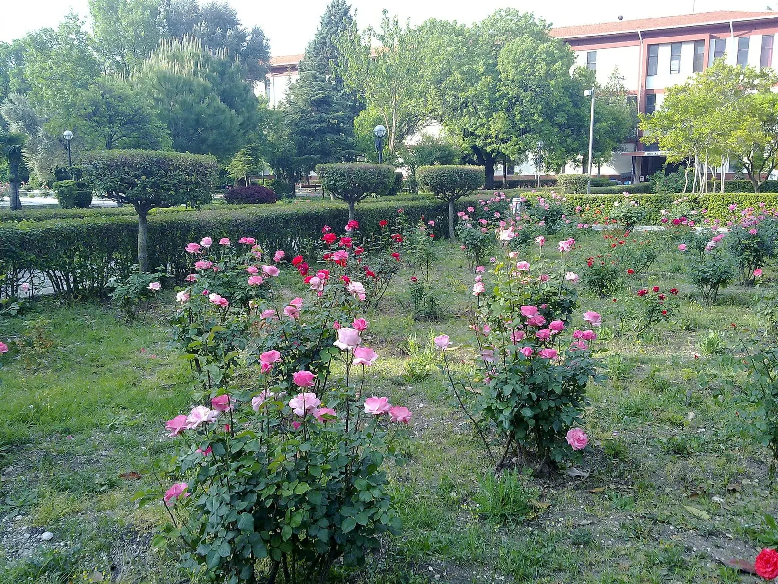 Dokuz Eylül University