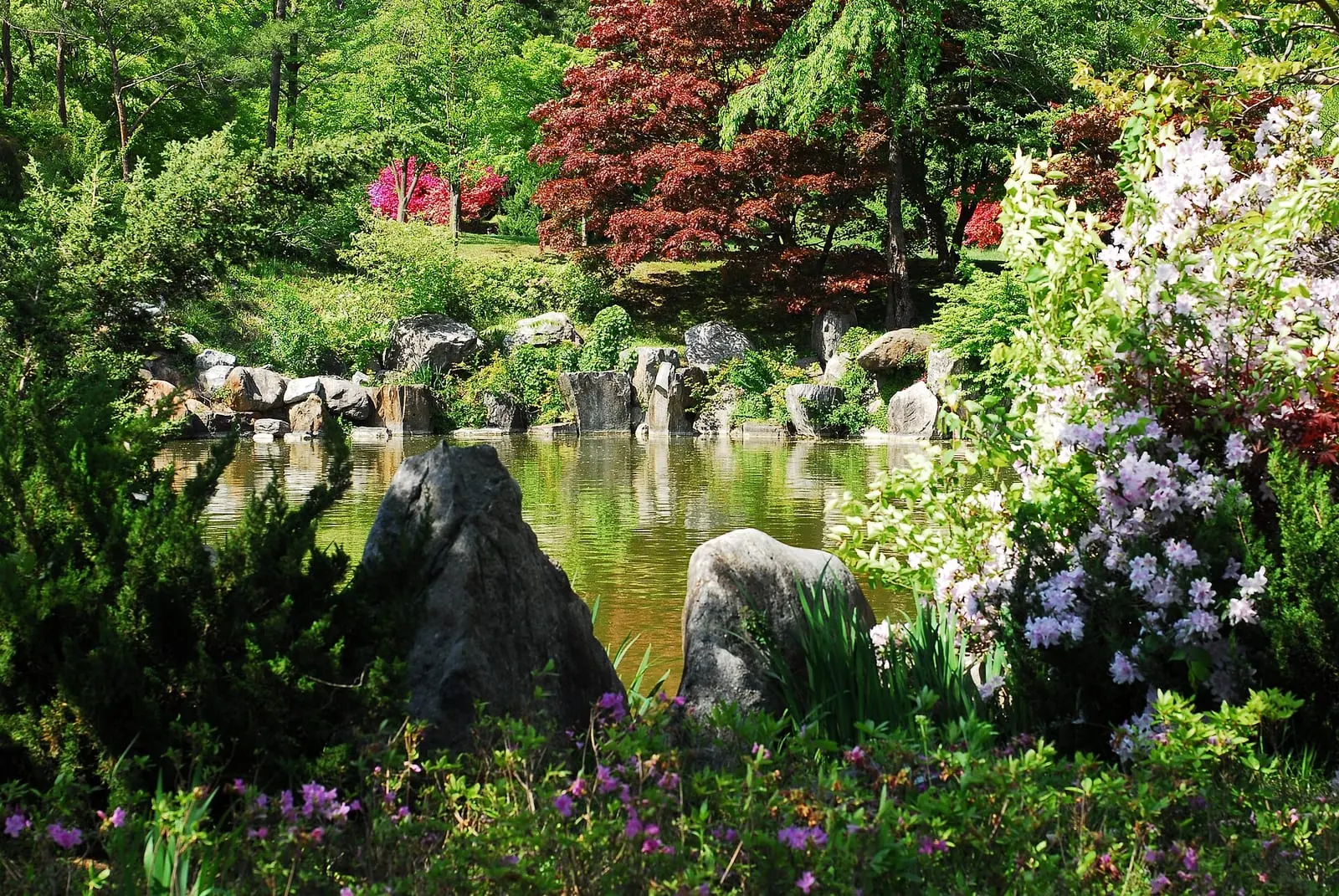 Hoseo University