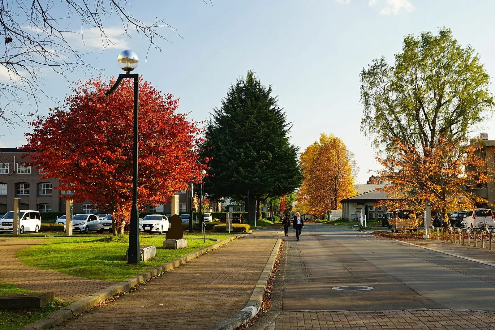Iwate University