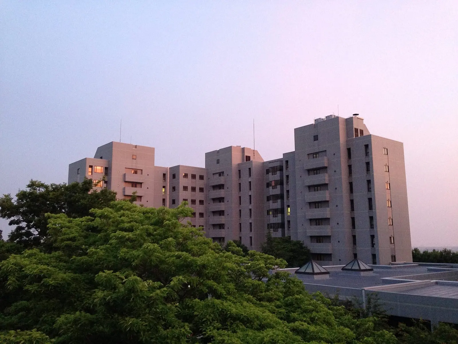 Japan Advanced Institute of Science and Technology