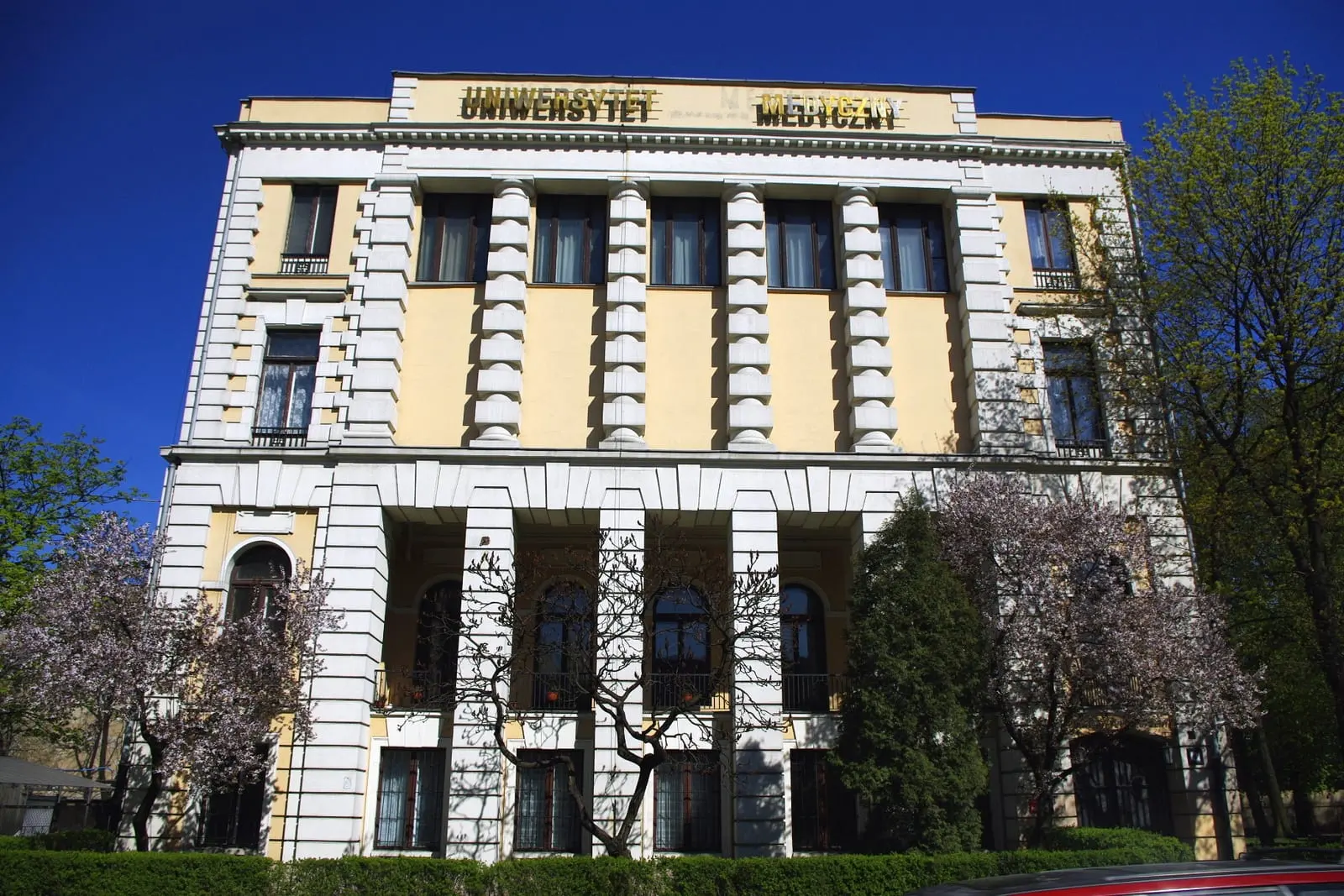 Medical University of Łódź