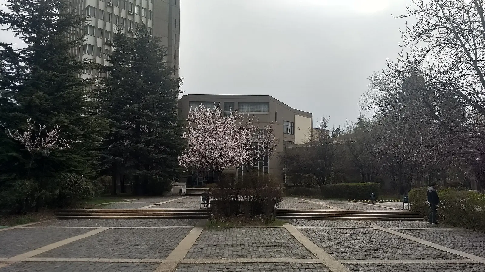 Middle East Technical University