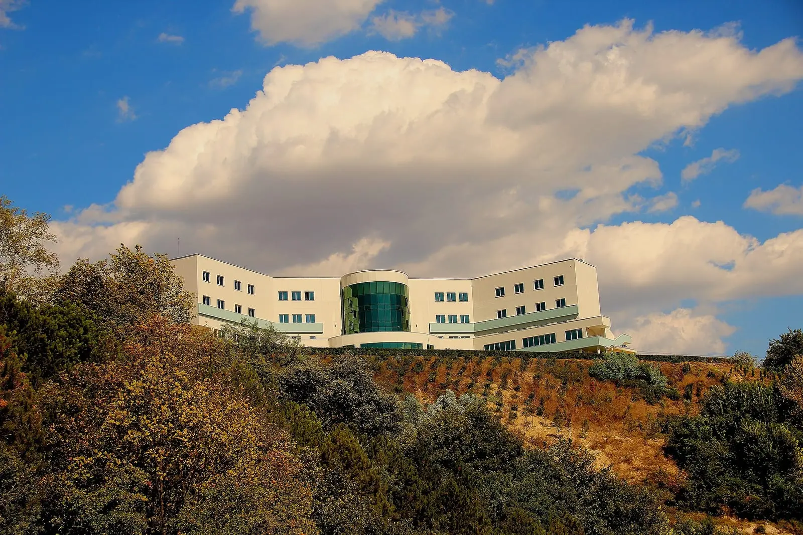 Sakarya University