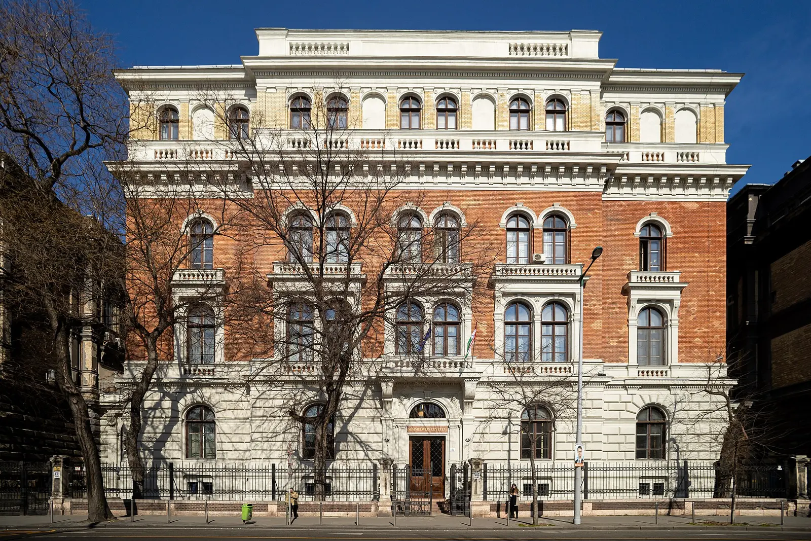 Semmelweis University