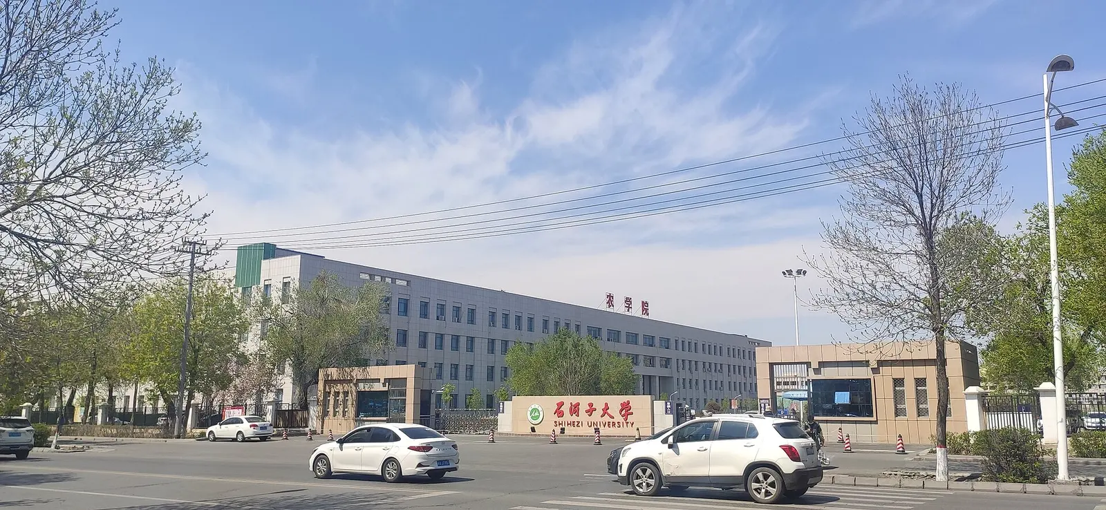 Shihezi University