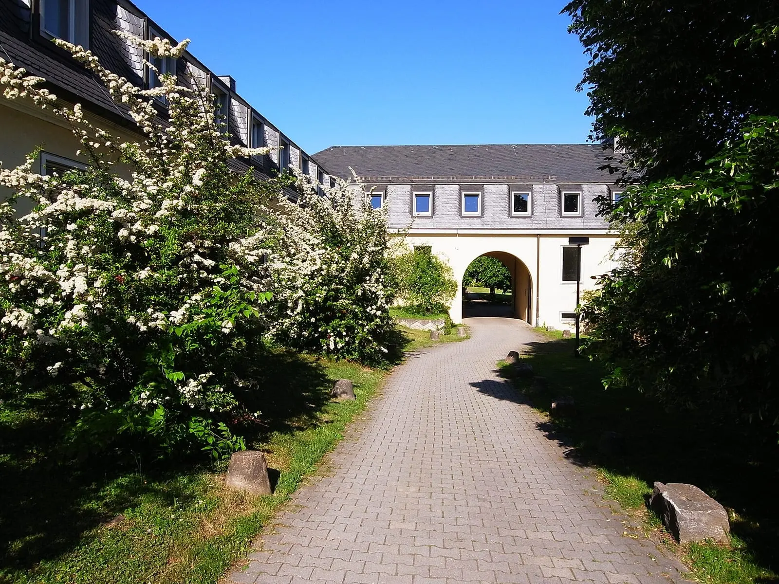 University of Hohenheim