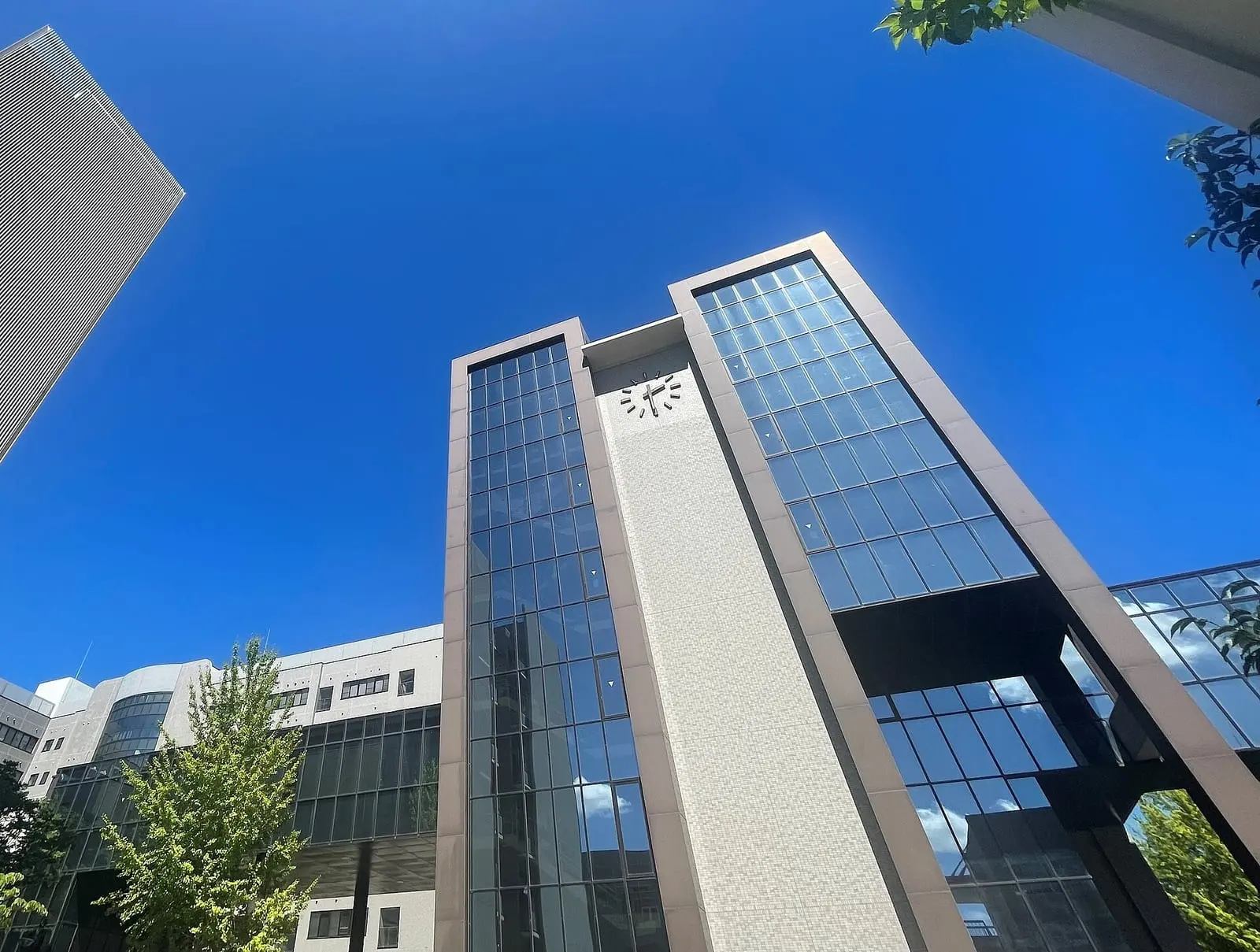 University of Tokushima