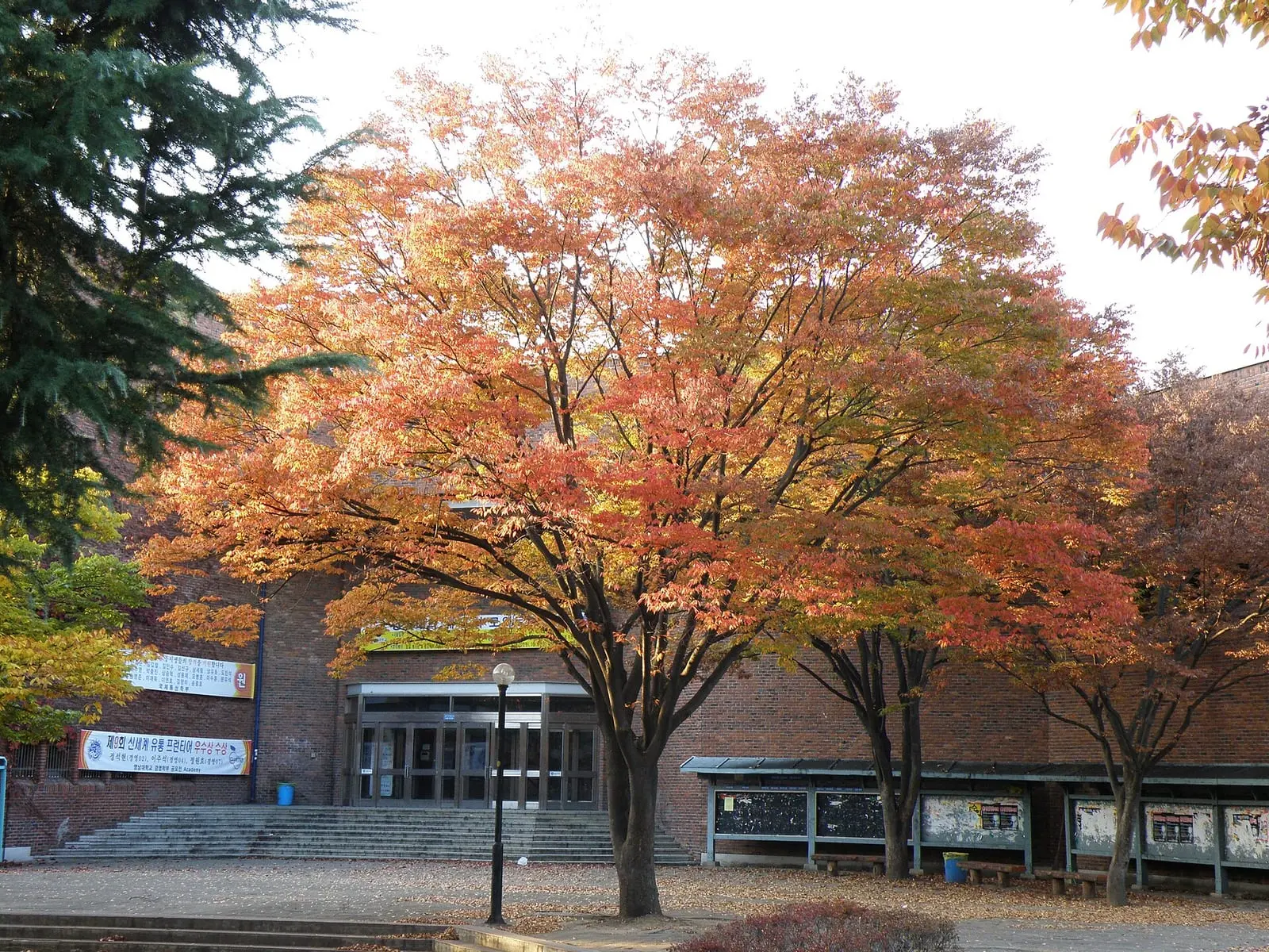 Yeungnam University