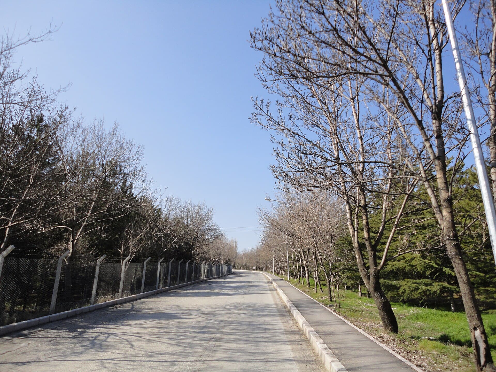 Bilkent University