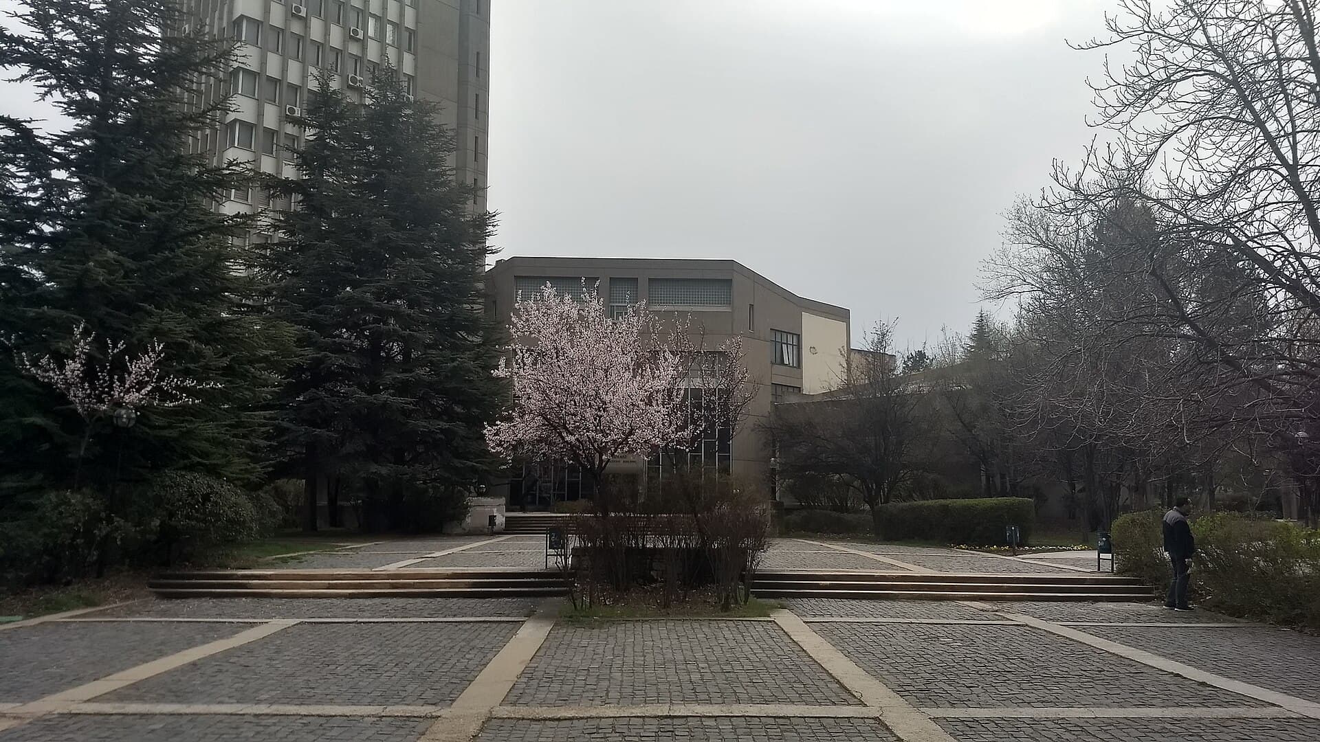 Middle East Technical University