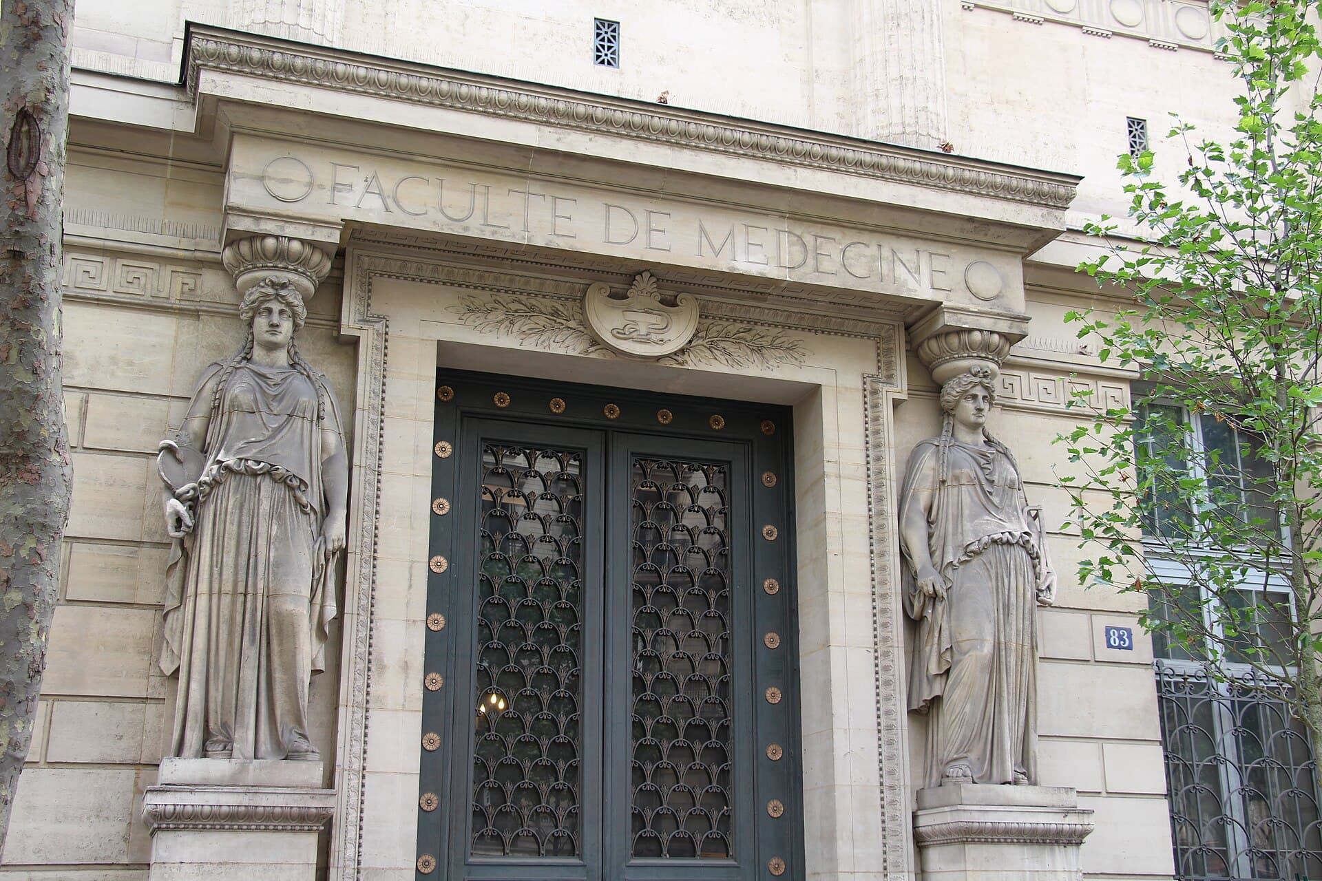 UniversitΓ© Paris CitΓ©